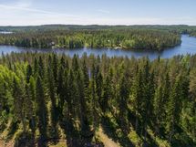 Heinävesi, Jänisvesi, Palokki