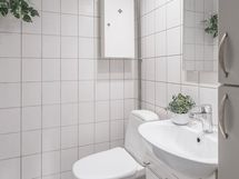Erillinen wc