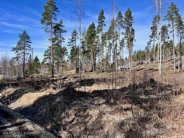 Asuntoilmoituksen kuva