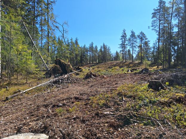Asuntoilmoituksen kuva