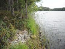 Tila Vehkaniemi RN:o 2:104