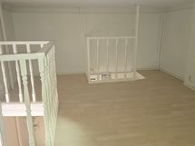 Lähes koko huoneen kokoinen parvi