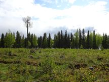 Rovaniemi-Karjalanjärvi