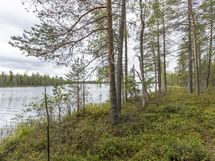 Rovaniemi-Venejärvi