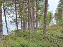 Kajaani, Laakajärvi, Haahkantie