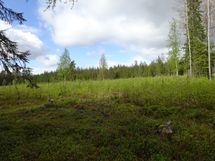 Rovaniemi-Karjalanjärvi
