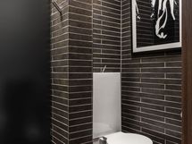 Toinen wc