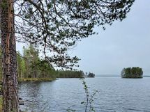 Kajaani, Laakajärvi, Metsäkukantie 