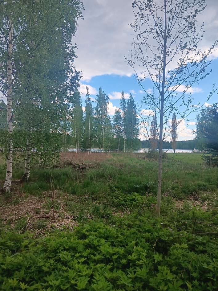 Tontti, 1,30 ha, Löytö - Näkymä 4
