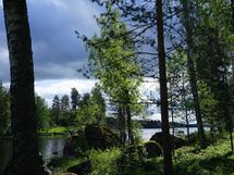Ylä-Enonveden ranta on heti puistokaistan jälkeen