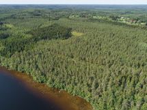 Mäntyharju, Rautjärvi