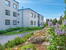 Syreenit kukkivat myös taloyhtiön julkisivun puoleisella piha-alueella.