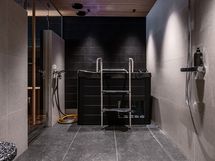 Primus saunaosasto kylmäaltaalla, visualisointi