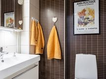 Eteisen yhteydessä oleva wc