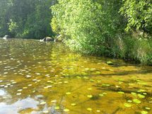 Hyrynsalmi, Teerijärvi-Koirajärvi