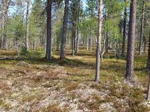 Sodankylä Kakslauttanen