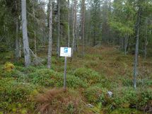 Tie on rakennettu tontin takarajalle