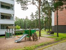 pihaa kesäaikaan