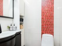 Erillinen Wc