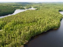 Puumala, Saimaa, Laakko