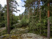 Salo, Särkisalo, Karhumäki