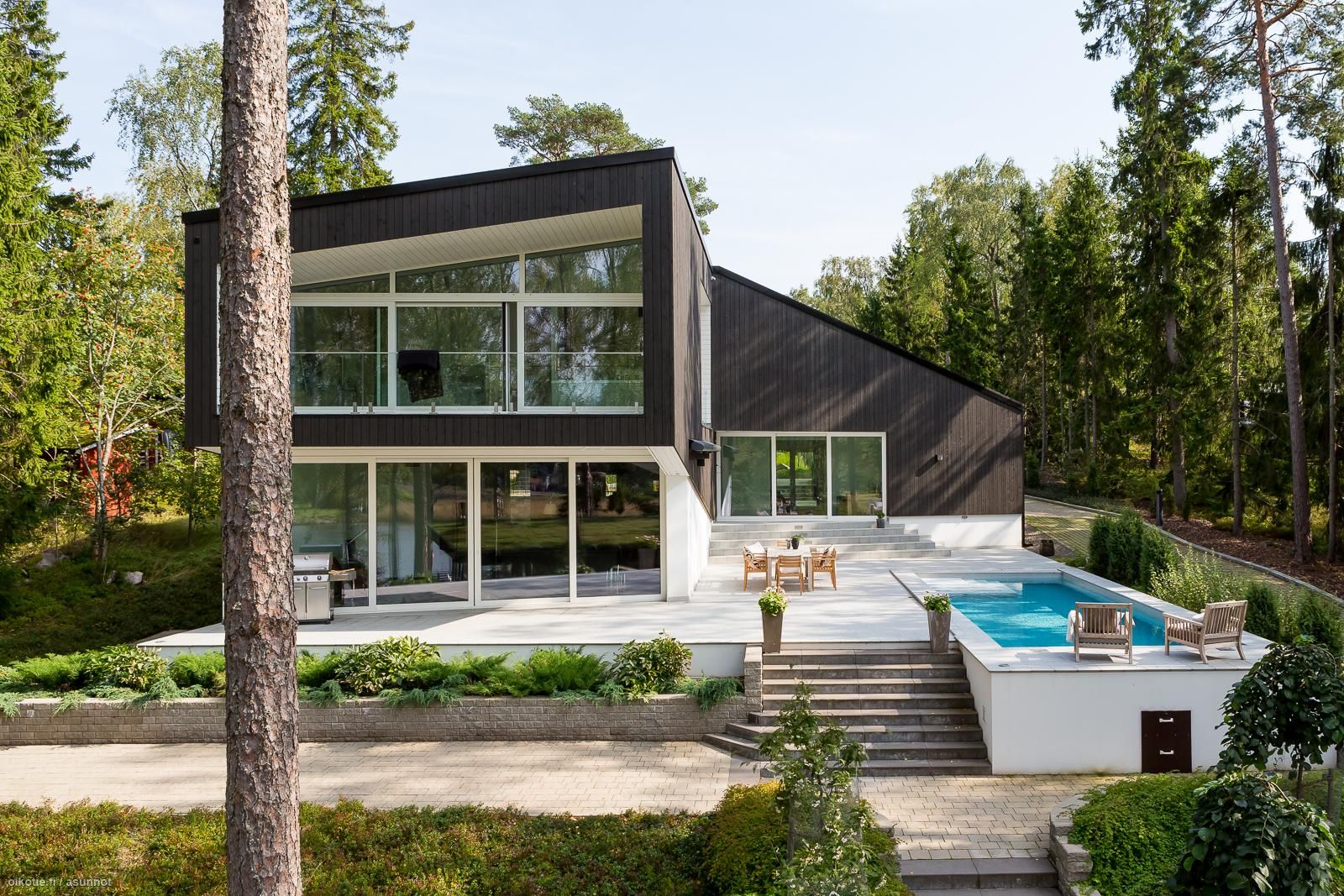 eebenpuu teini kusipää