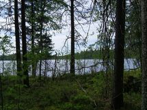 Sonkajärvi, Luomanen