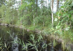 Kohdekuva