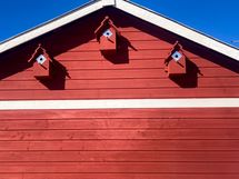 Myyjän omia kuvia pihalta eri vuoden aikoina