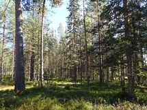 Salla, Sallatunturi, Seitakuja
