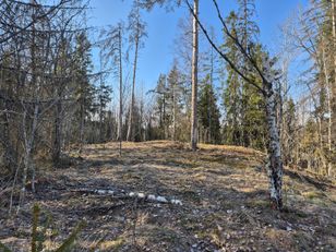 Kohdekuva