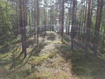 Kuhmo, Ontojärvi, Pohjoispuolentie
