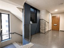 5. krs. porrastasanne