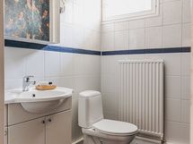 Erillinen wc, jossa hieno pöllötapetti sivuseinällä. Näkyy peilin kautta.