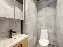 Erillinen wc