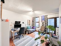 Tilava yksiö, josta kivat pihanäkymät.