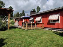 Omistajan kesäkuva / Ägarens sommarbild