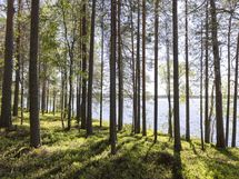 Kuhmo, Iso-Rommakkojärvi, Lautakankaantie