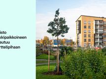 Puisto leikkipaikkoineen rajautuu Turun Solina 14:n korttelipihaan.