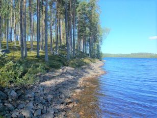 Kohdekuva