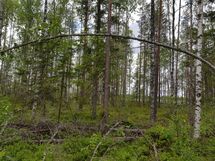 Sievi, Iso-Juurikkajärvi, Juurikkajärventie 290
