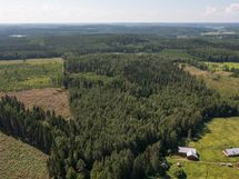 Metsäpalsta Käkikumpu II