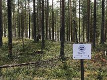 Suomussalmi, Kaunisniemi-Merkkivirta