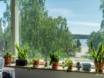 Näkymä olohuoneen ikkunasta