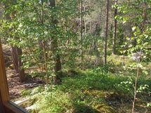 Ikkunanäkymä saunatuvasta