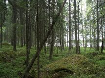 Sonkajärvi, Luomanen