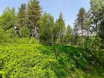 Leppävirta, Osmajärvi, Itkola