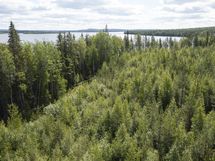Hyrynsalmi, Hyrynjärven länsiosa