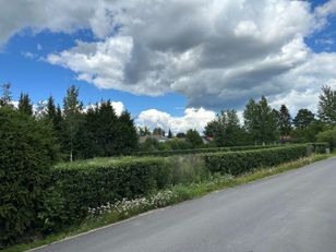 Kohdekuva