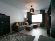 Ovi parvekkeelle, josta hienot näkymät puistoon